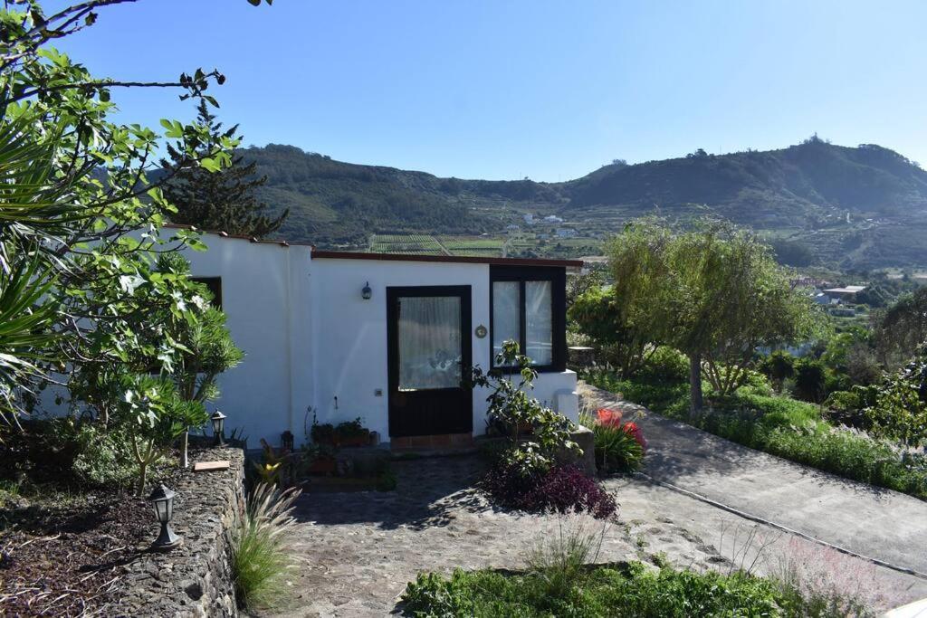Casita De La Montana De Maria Vila Tegueste Exterior foto